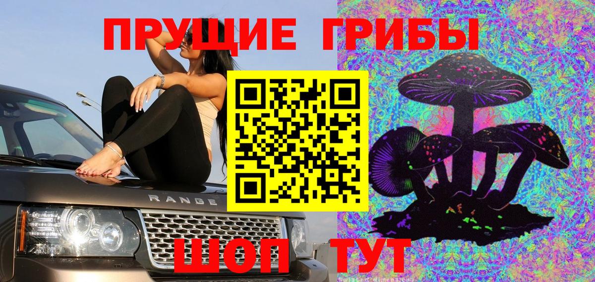 Волхов  как найти закладки  Вход с VPN  Галлюциногенные грибы Psilocybine cubensis 